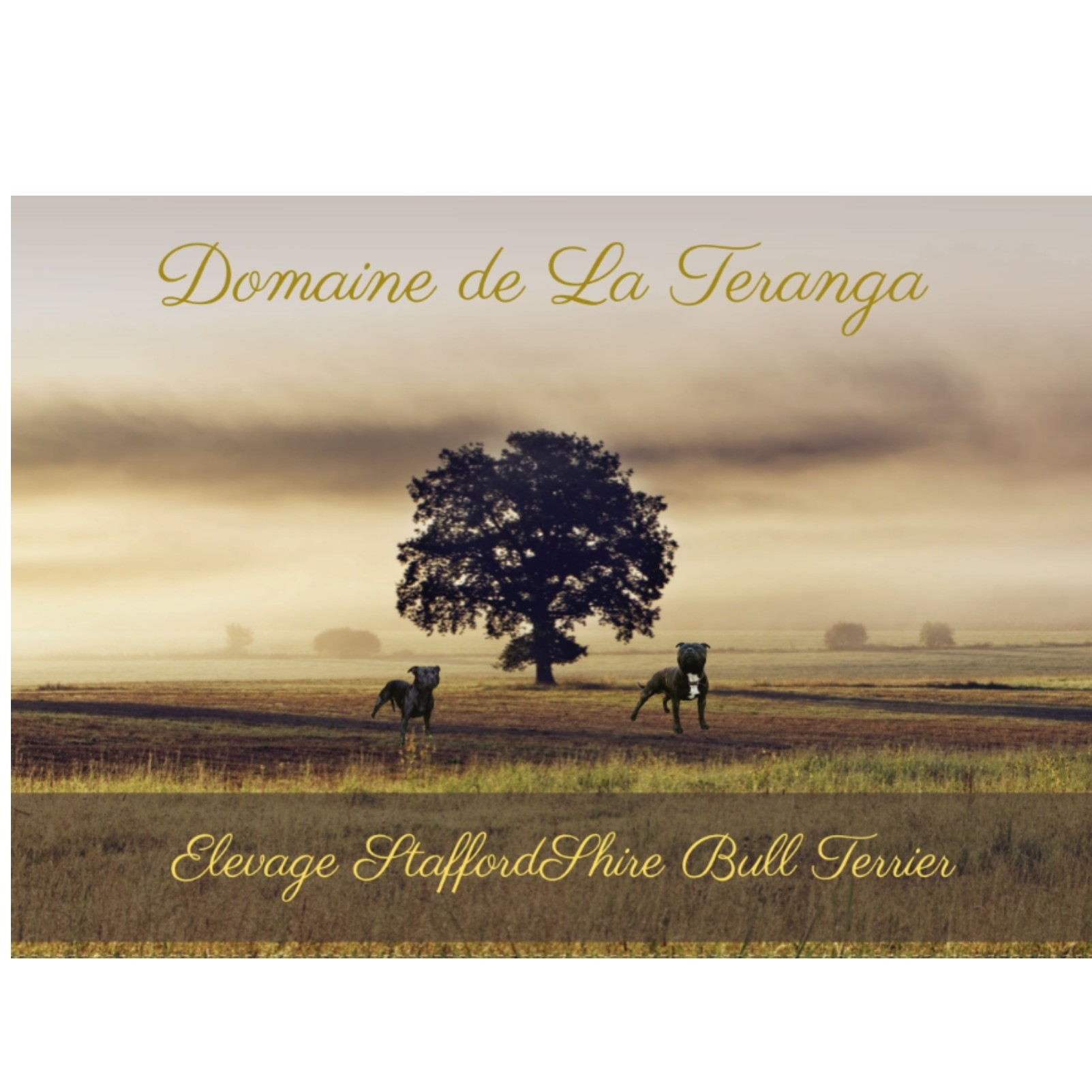 Domaine De La Teranga